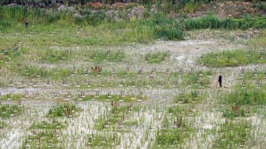 Kiev, Ukrayna 13 Temmuz 2020: İnceleme görevlisi yüklenen yığınların seviyesini kontrol ediyor