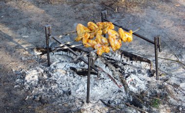At a picnic, chicken wings are grilled on coals