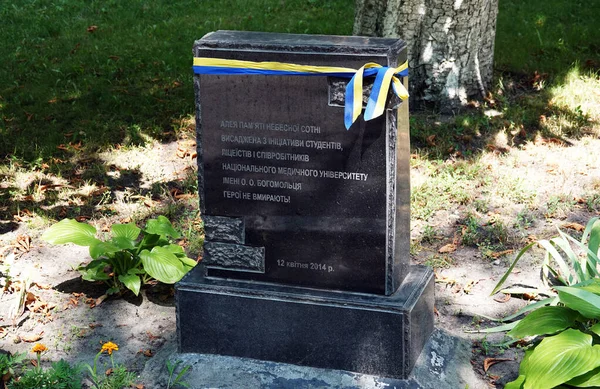 Κίεβο Ουκρανία Ιουλίου 2021 Μνημείο Για Την Ουράνια Εκατοντάδες Εθνικό — Φωτογραφία Αρχείου
