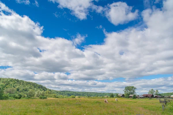 Paysage estival avec champ de blé et nuages — Photo