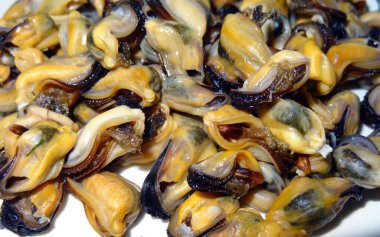 Karadeniz kabuksuz midye pişirdi.    