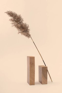 Kuru kamış dalı ve bej arka planda dikdörtgen tahta bloklar. Eğilim minimalist denge kompozisyonu. Modern iç mekanlarda Boho ya da İskandinav tarzı poster.