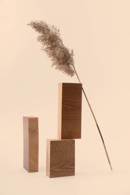 Kuru kamış dalı ve bej arka planda dikdörtgen tahta bloklar. Eğilim minimalist denge kompozisyonu. Modern iç mekanlarda Boho ya da İskandinav tarzı poster.