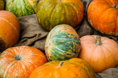 Autumn City caddesindeki balkabakları. Cadılar Bayramı 'nı kutlamak için şehri dekore ediyorum. Çirkin balkabakları Cadılar Bayramı konsepti yaşam tarzı kompozisyonu