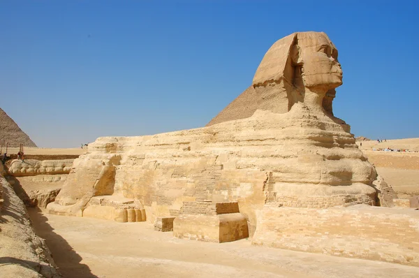 Die ägyptische Sphinx. giza. Seitenansicht. — Stockfoto