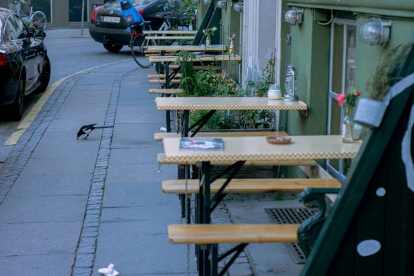 STYL ŻYCIA, STREET SCENE from COPENHAGUE, DANIA, marzec 2019 — Zdjęcie stockowe