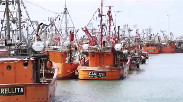 黄色渔船港口的全景 — 图库视频影像
