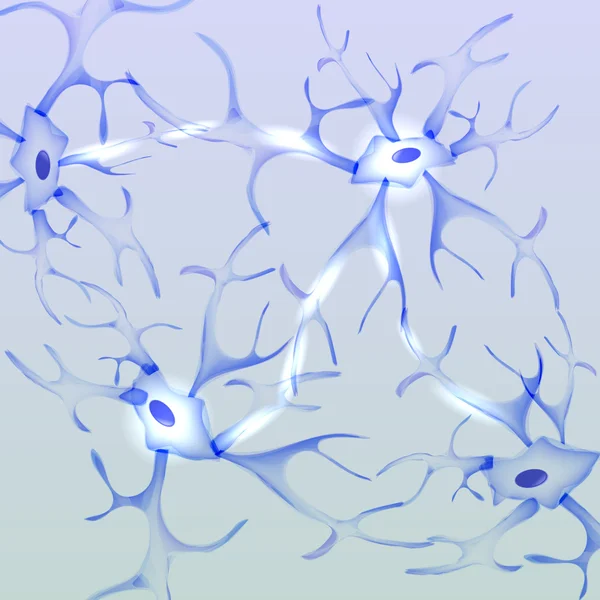Neuron, nervová buňka - vektorové ilustrace — Stockový vektor