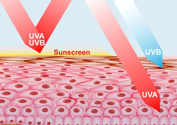 Loción de protector solar en la protección de la piel contra rayos UVA, UVB - Ilustración de vectores — Vector de stock