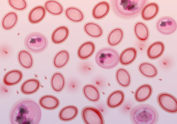 Células sanguíneas en el plasma - Ilustración vectorial — Vector de stock