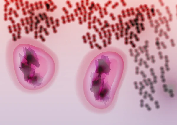 Bakterienkolonie mit weißen Blutkörperchen - Vektorillustration — Stockvektor