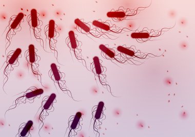 E. coli bakteri - vektör çizim grubu