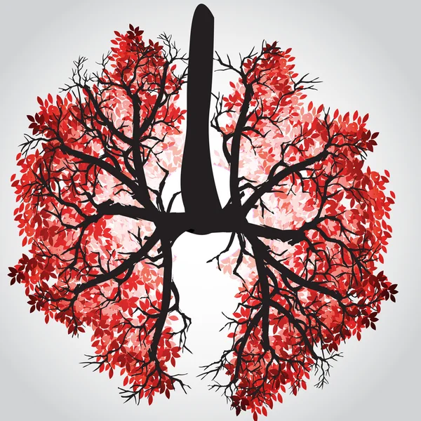 Takken zoals longen - vectorillustratie — Stockvector