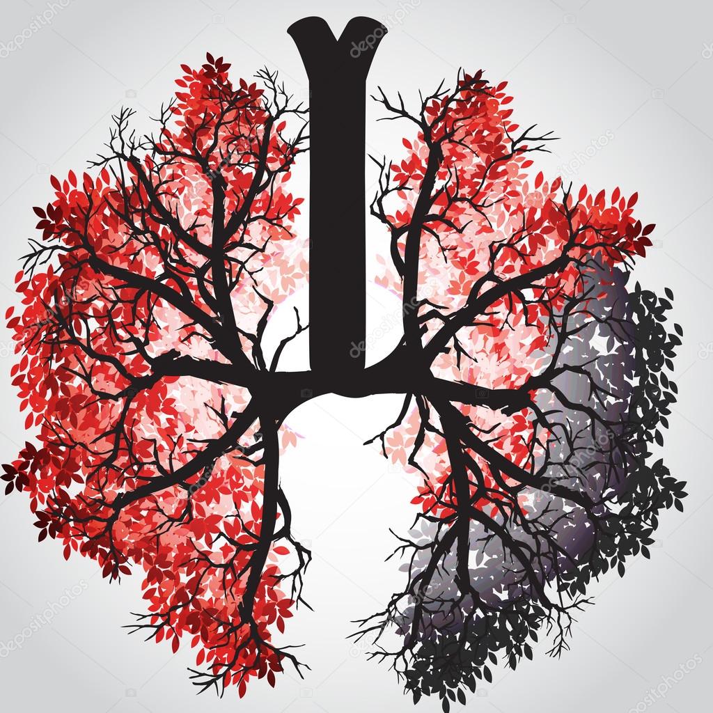 Ree Branches Like Lungs - Vector Illustration