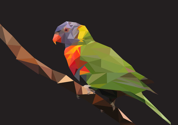 Abstract Low Poly Parrot, Rainbow lorikeet  - Vector Illustration