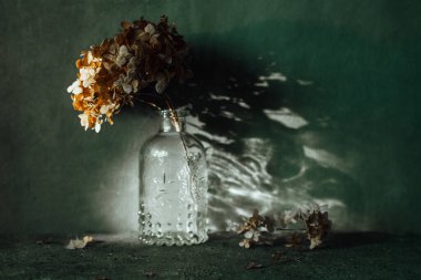 dry hydrangea stands in a vase on a dark background