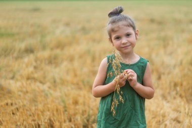 portrait of a girl in a field holding ears of corn in her hands
