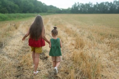 Two little girls, little sisters are walking in the meadow, in the field