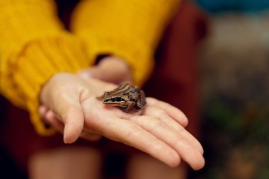 Bir elin üzerinde oturan küçük kahverengi bir kurbağa resmi..