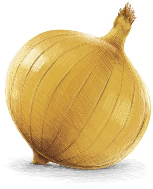 Doğal soğan