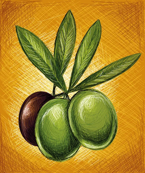 Aceitunas Ilustración De Stock