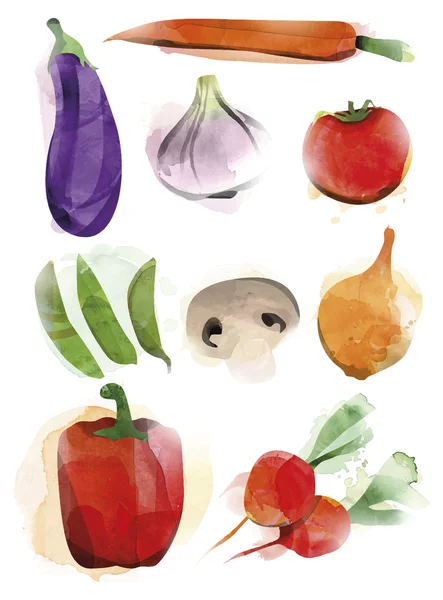 Légumes aquarelle — Image vectorielle