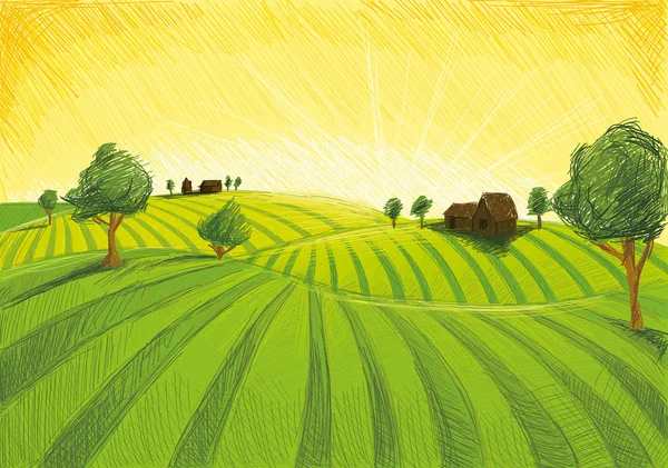 Gröna jordbruk — Stock vektor