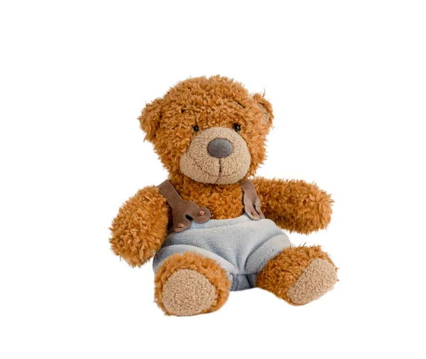 Pelziges Spielzeuggeschenk Form Eines Braunen Teddybären Der Eine Hellblaue Schleuderhose — Stockfoto
