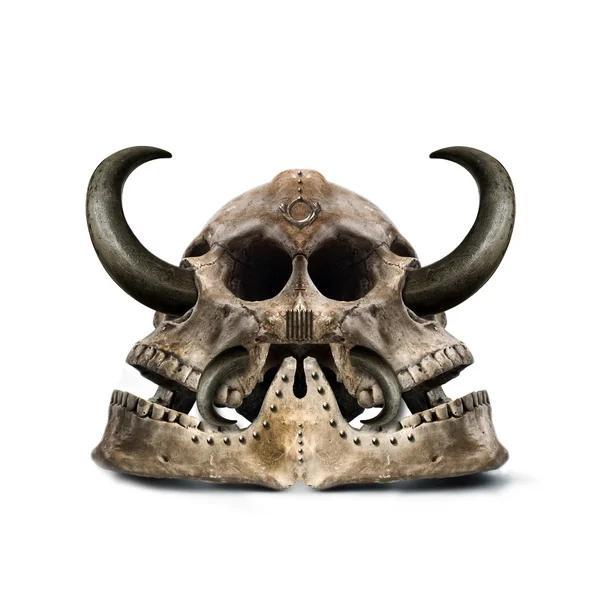 Таємничий череп з рогами — стокове фото