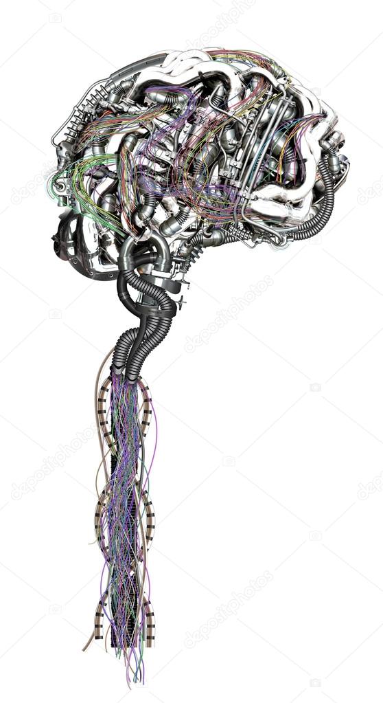 A wired brain