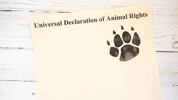 international animal rights day.words from wooden cubes with letters photo