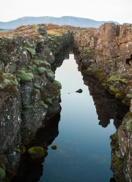 Desfiladeiro no parque da Islândia — Fotografia de Stock