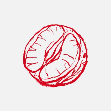 Hand drawn half of tangerine. Vector sketch illustration in vintage crayon textured style. Winter citrus fruit, Christmas symbol