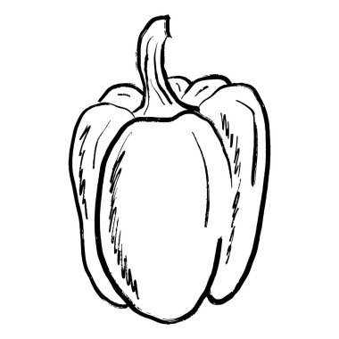 Siyah fırça darbesi desenli büyük çan biberi tasarımı beyaza izole edilmiş. Klasik kömür mürekkebiyle elle çizilmiş vektör çizimi. Lezzetli sebze tasarımı, salata malzemesi, çiftlik, tarım