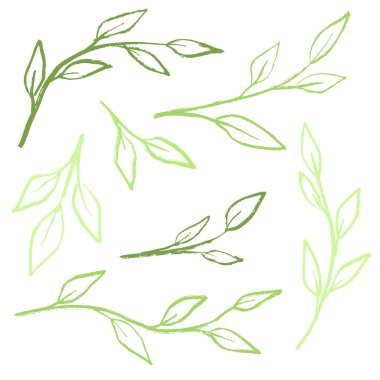 Yapraklı dalları olan el yapımı yeşil bir set. Taze bahar uyanma yaprağı. Vintage pastel boya kalemi tarzında vektör çizimi