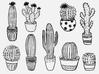 Grunge el, kaktüs topluyor. Lezzetli bitkiler pastel boya çizimleri. Vektör çizimi kömür tebeşiri çizimi. Yazdırma, tasarım projeleri, iç tasarım için hazır