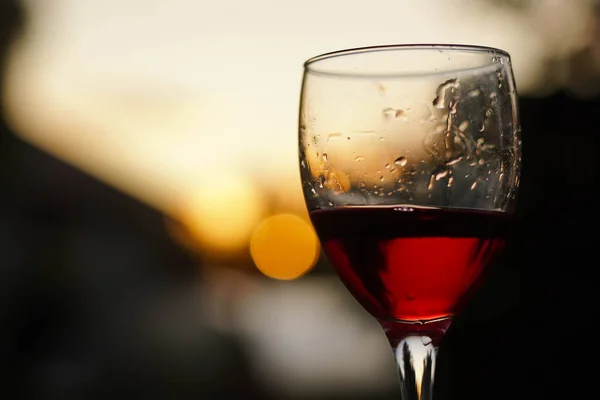 Copo de vinho tinto na vinha ao pôr do sol, de perto — Fotografia de Stock