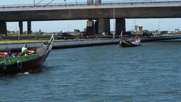 Aveiro Portekiz Ağustos 2020 Moliceiro Teknesi Ile Tekne Gezisi — Stok video
