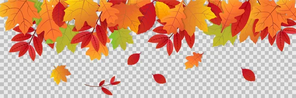 Hojas Otoño Sobre Fondo Transparente Ilustración Otoño Con Banner Hojas — Vector de stock