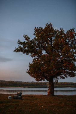 Nehre karşı tek başına duran bir ağacın yanındaki bir kümede duran bir kaç eski televizyon. Gün doğumu