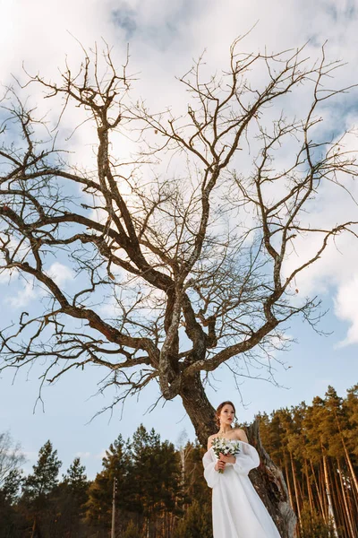 Bruid Staat Een Besneeuwd Bos Naast Een Droge Boom — Stockfoto