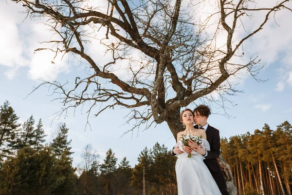 花嫁と新郎は雪に覆われた森の乾燥した木の横に立っている — ストック写真