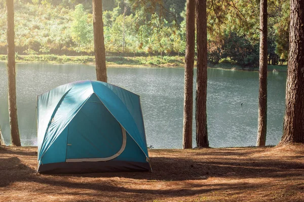 湖の近くの松林の下のキャンプやテント 朝の美しい日差し — ストック写真