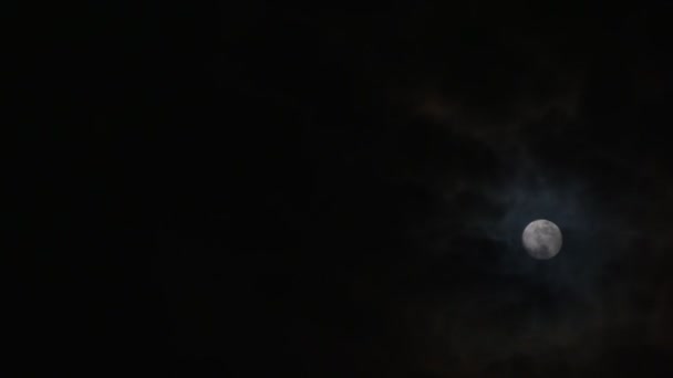 Skyerne passerer ved månen om natten. Fuldmåne om natten med sky i realtid. mysterium eventyrland scene. – Stock-video