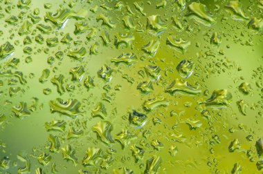 Yeşil ağaç zeminli cam pencereye su damlası.