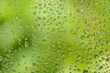 Yeşil ağaç zeminli cam pencereye su damlası.