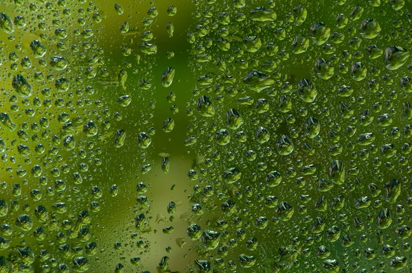 Water Drop Glass Window Green Tree Background — Stock Photo, Image