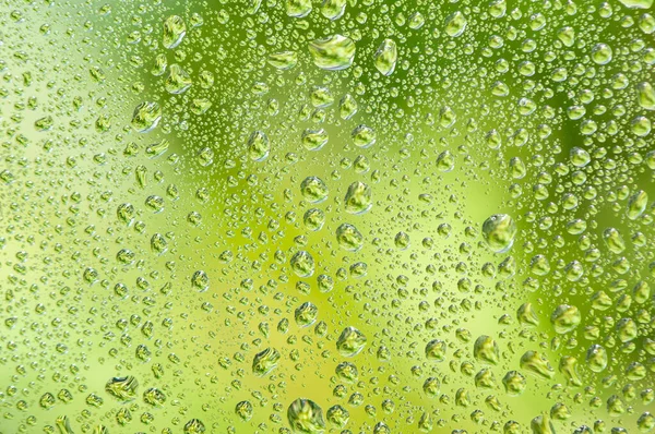 Water Drop Glass Window Green Tree Background — Stock Photo, Image