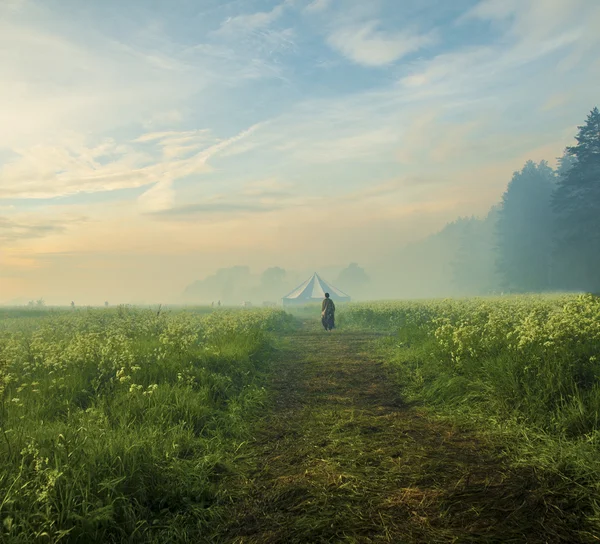 Persona caminando por el camino en el paisaje de ensueño — Foto de Stock