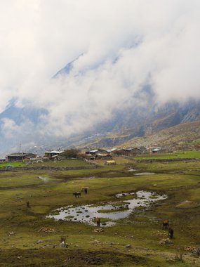 Yakın göl dağlarda at besleme